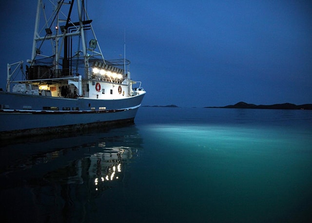 Đèn led đánh cá siêu sáng cho ngư dân đi biển